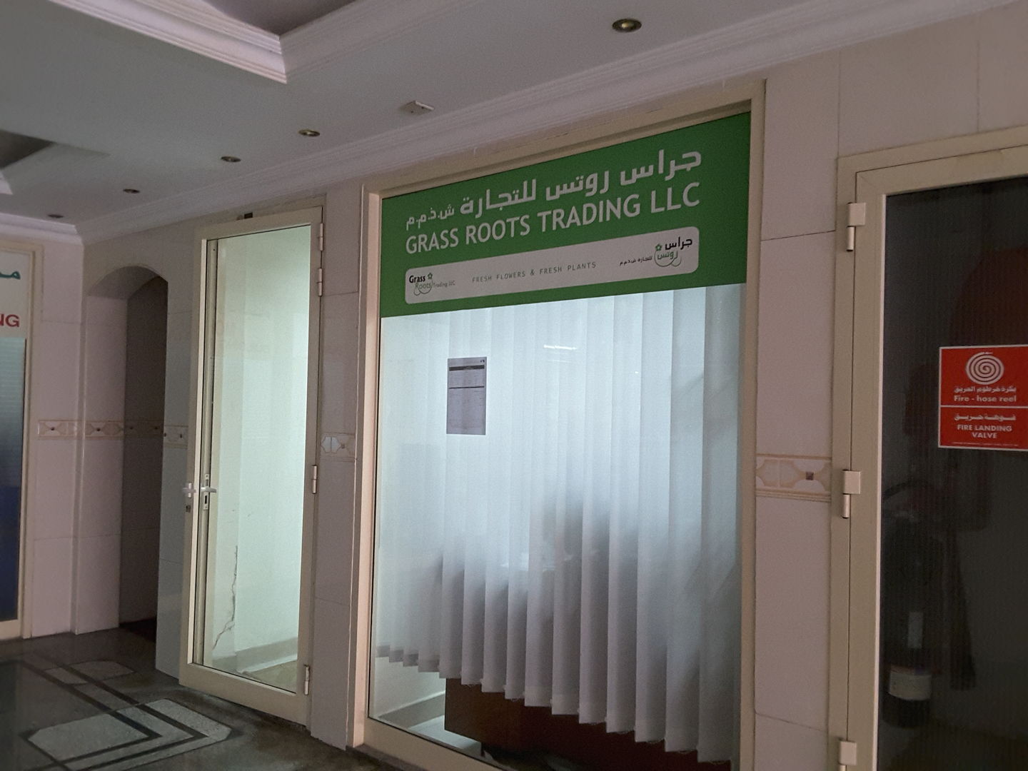 HiDubai-business-grass-roots-trading-home-gardening-landscaping-naif-dubai-2