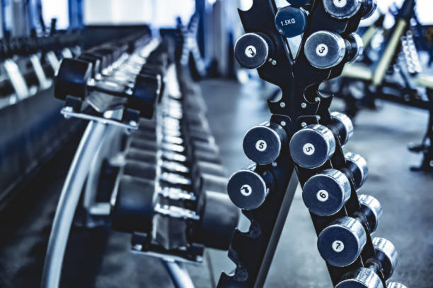 HiDubai-business-torque-fitness-sports-fitness-gyms-fitness-centres-pools-dubai-investment-park-1-dubai