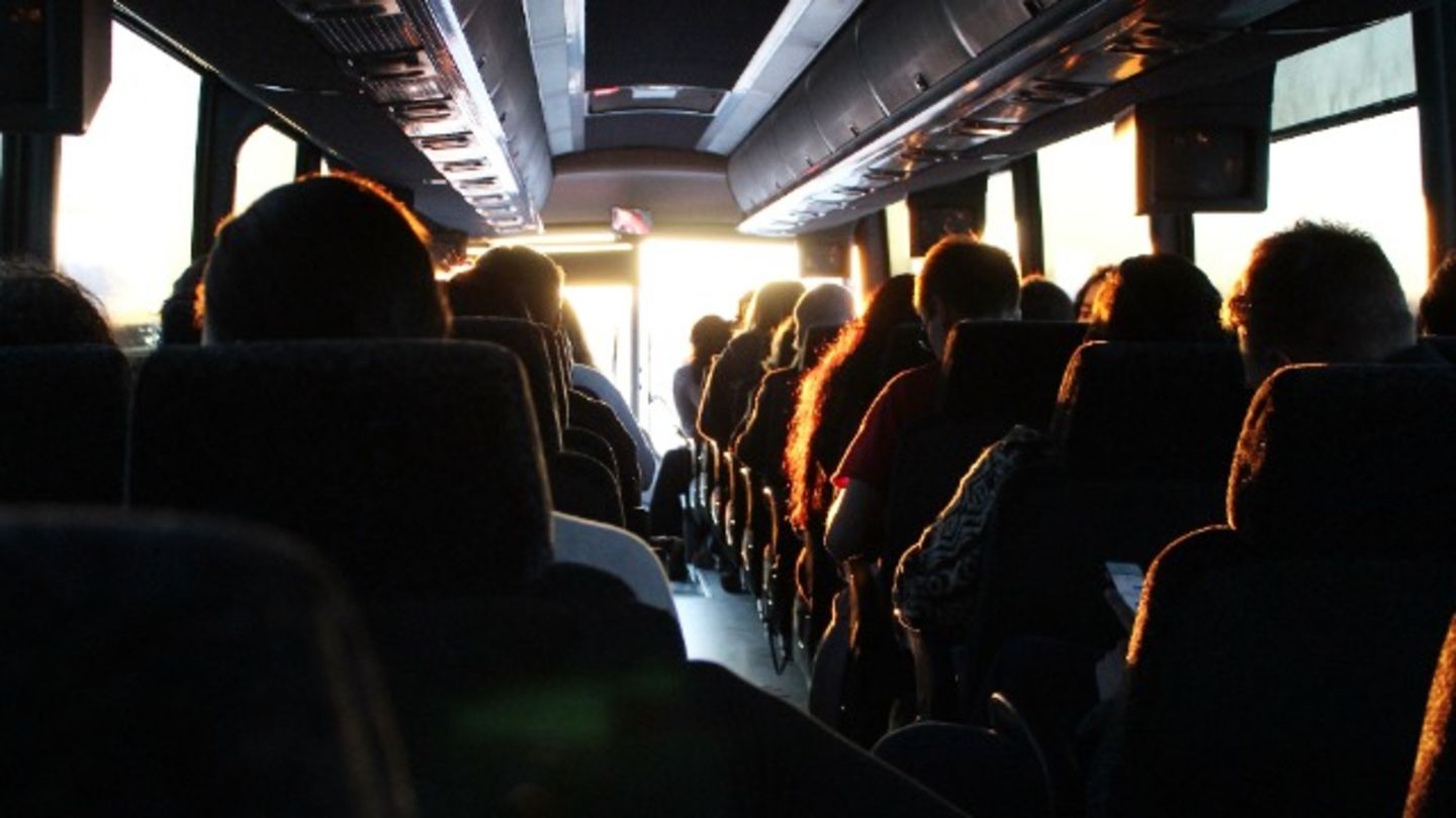 HiDubai-business-darb-al-aman-international-buses-service-transport-vehicle-services-private-transport-al-murar-dubai