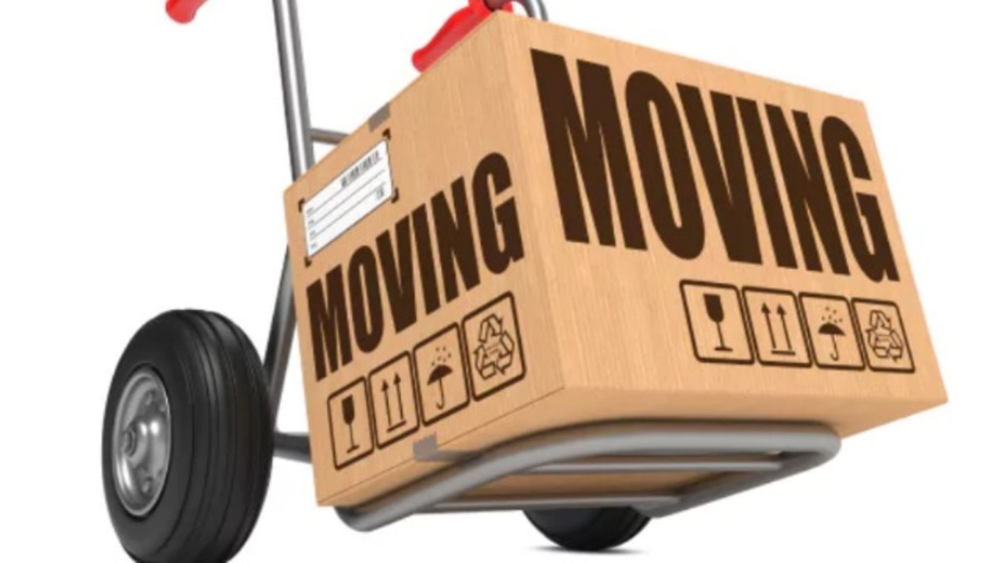 HiDubai-business-sunstars-movers-shipping-logistics-moving-storage-services-al-garhoud-dubai