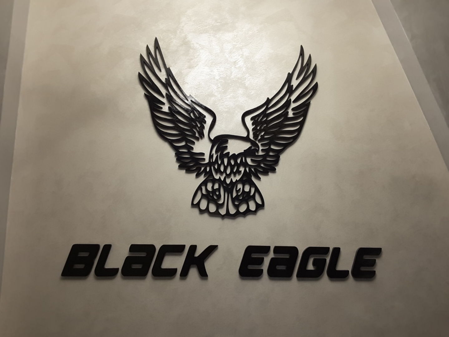 Black Eagle Technical Services(Construction & Renovation) in Al