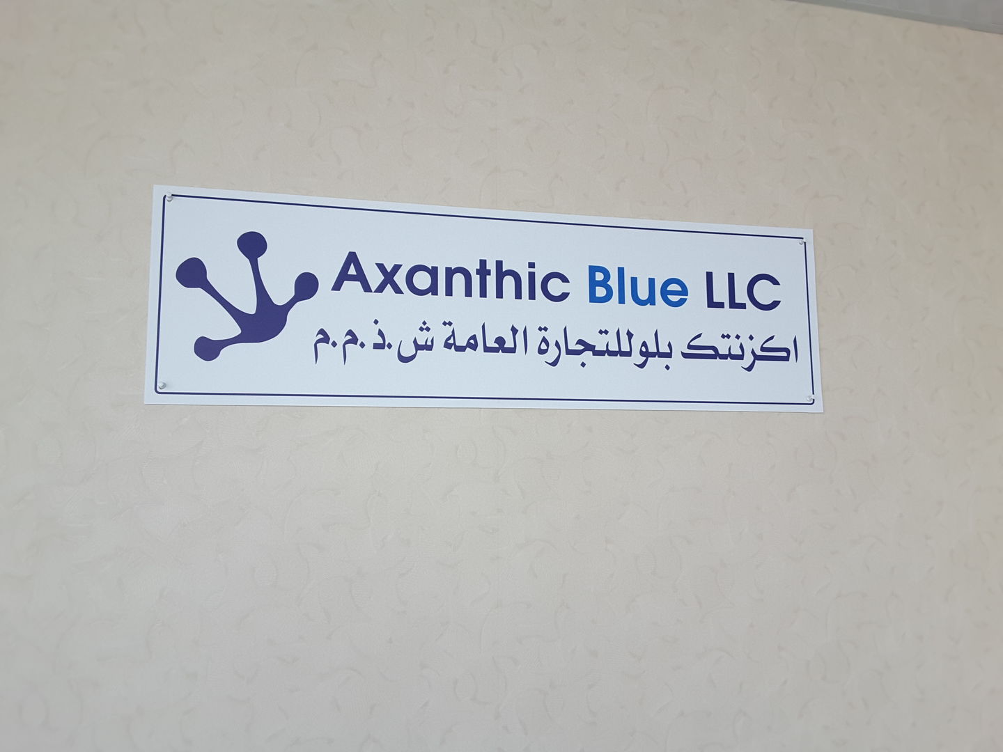 HiDubai-business-axanthic-blue-general-trading-b2b-services-food-stuff-trading-dubai-cargo-village-dubai-international-airport-dubai