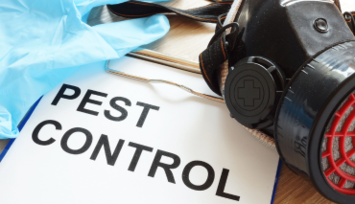 HiDubai-business-affordable-pest-control-building-cleaning-services-home-cleaning-services-al-quoz-1-dubai