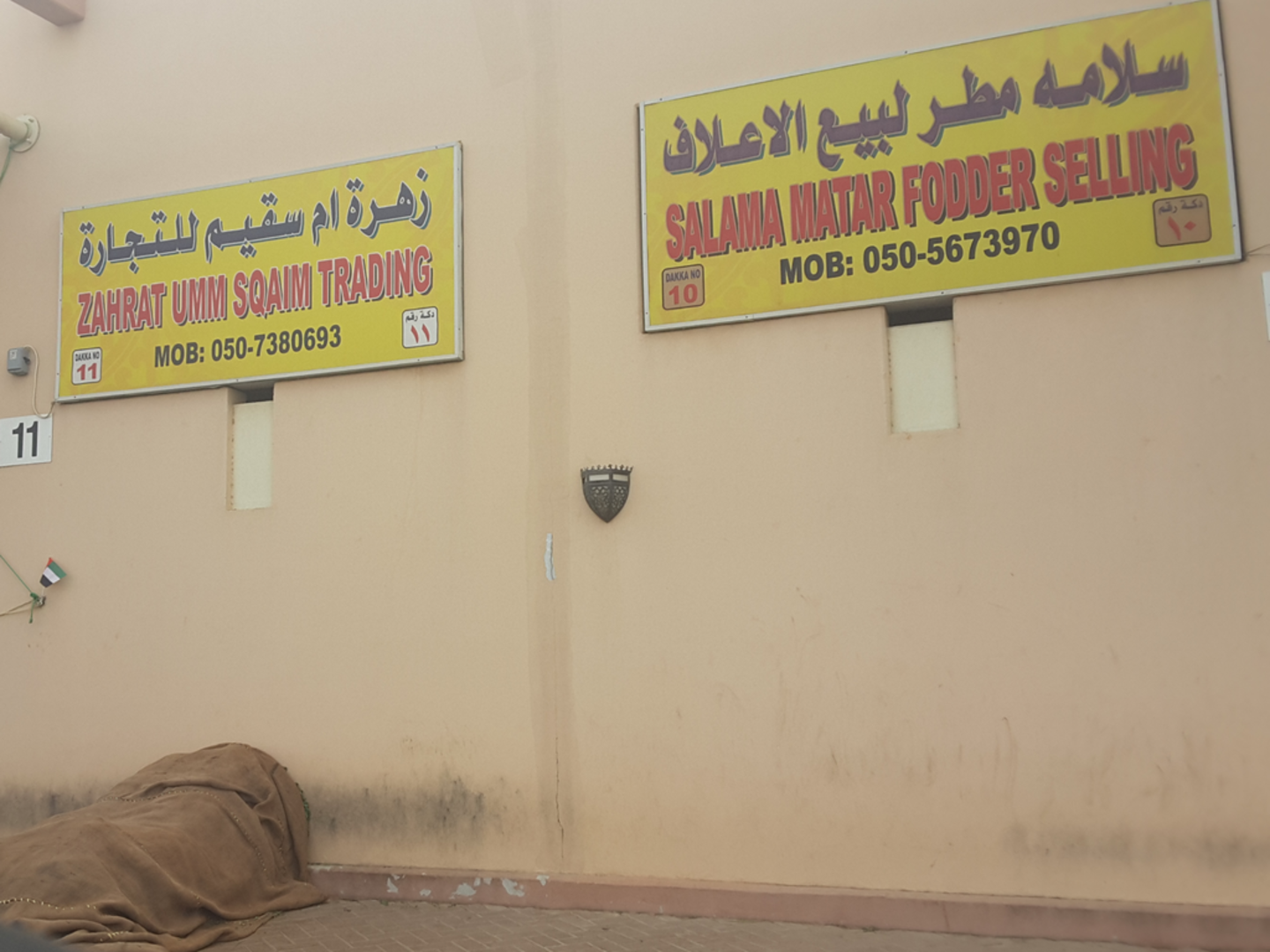 HiDubai-business-salama-matar-fodder-selling-animals-pets-plants-pet-food-accessories-stores-margham-dubai-2
