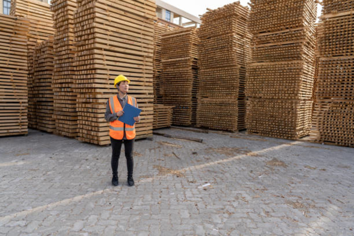 HiDubai-business-obaid-atiq-building-materials-trading-b2b-services-construction-building-material-trading-ras-al-khor-industrial-2-dubai