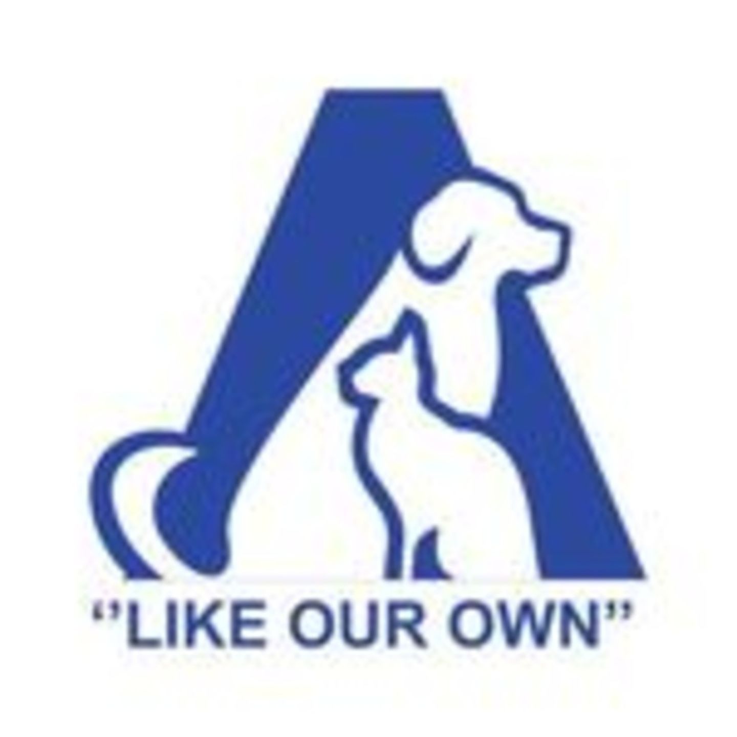 HiDubai-business-amity-veterinary-clinic-animals-pets-plants-pet-clinics-vets-al-barsha-3-dubai