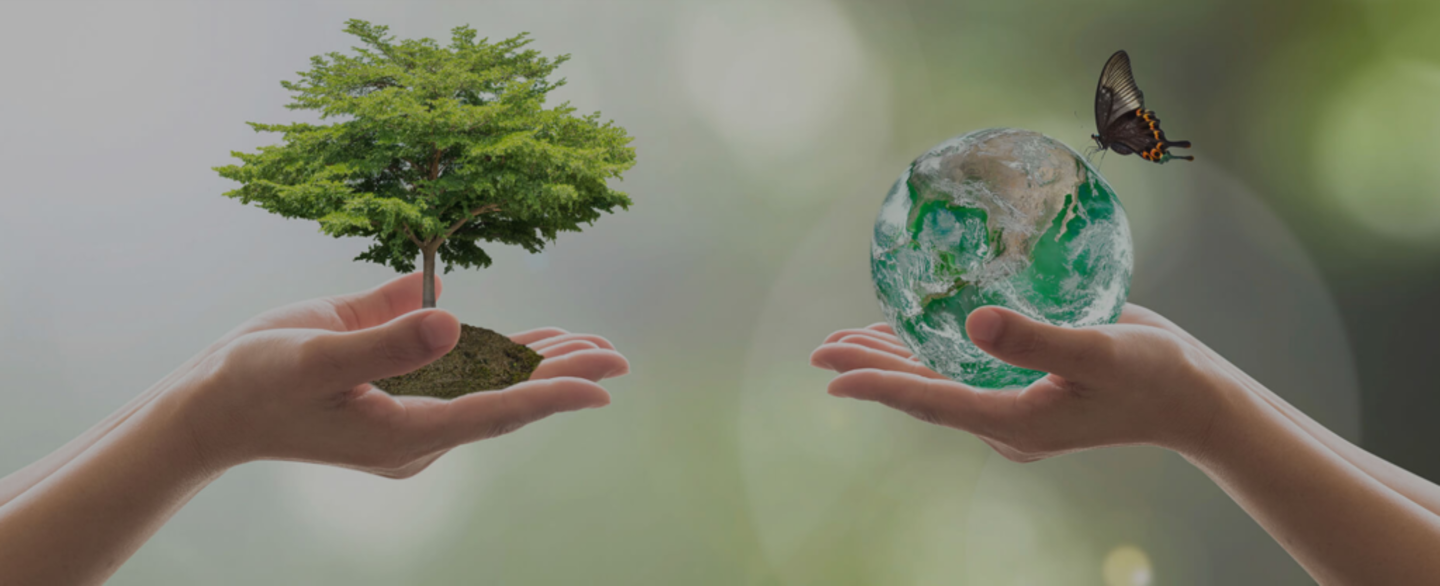 HiDubai-business-esperanto-general-trading-b2b-services-manufacturing-dubai-investment-park-2-dubai