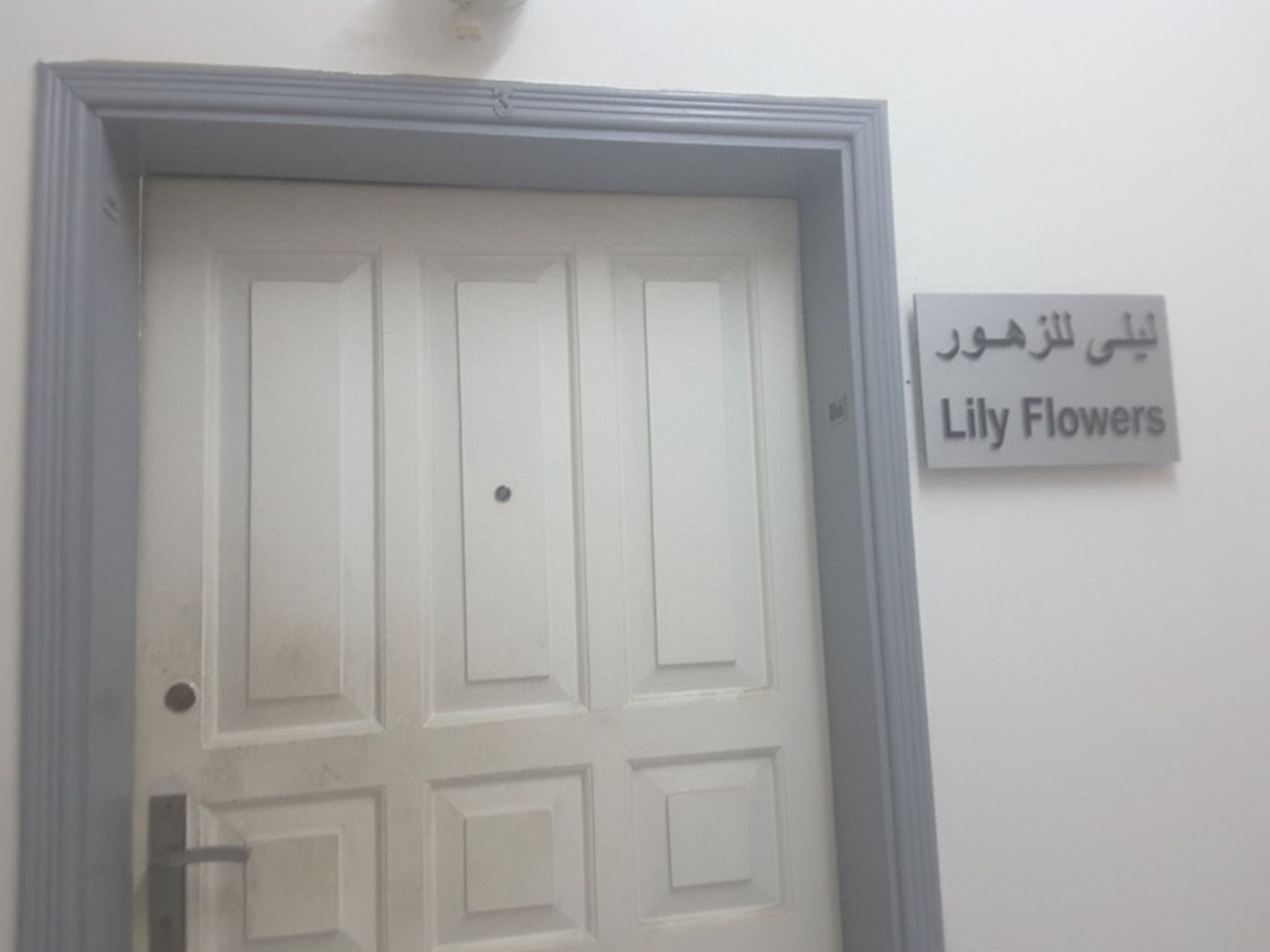 HiDubai-business-lily-flowers-b2b-services-distributors-wholesalers-al-buteen-dubai