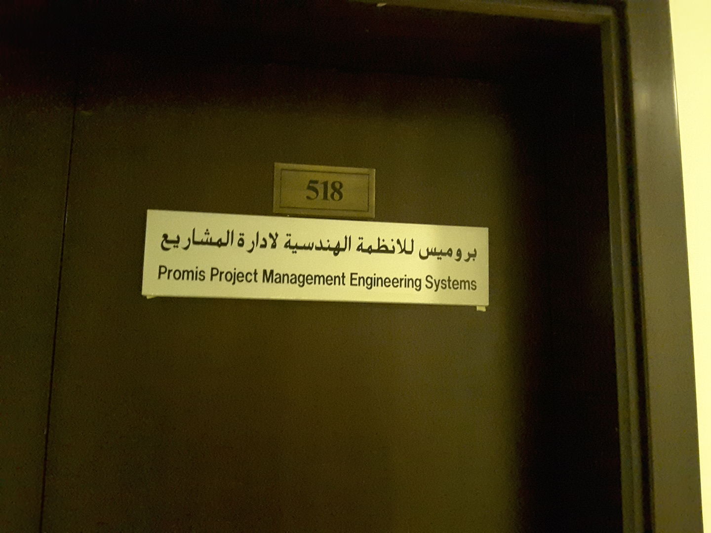 HiDubai-business-promis-project-management-engineering-systems-construction-heavy-industries-engineers-surveyors-al-mamzar-dubai-2