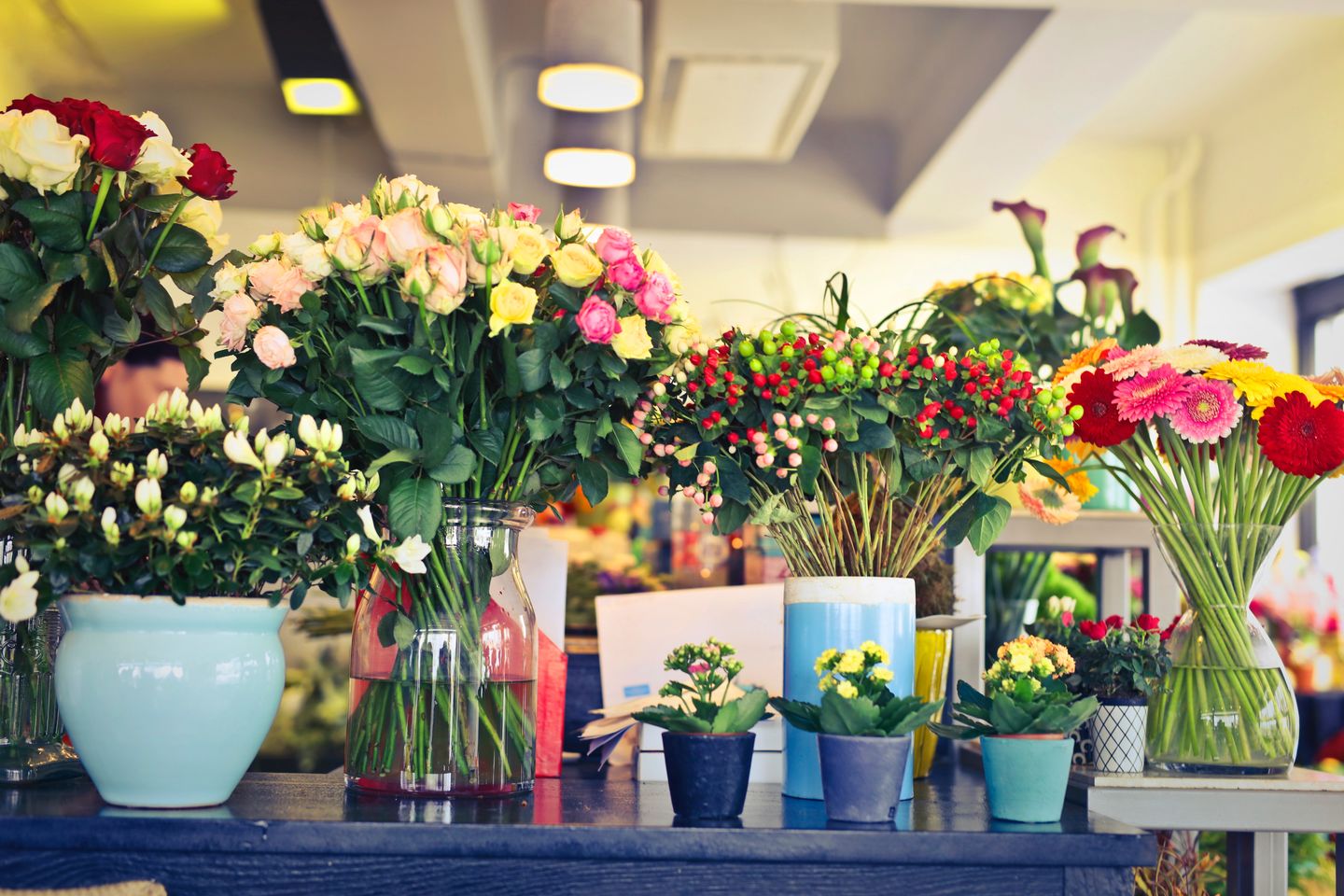 HiDubai-business-sun-flower-shopping-garden-outdoor-trade-centre-2-dubai