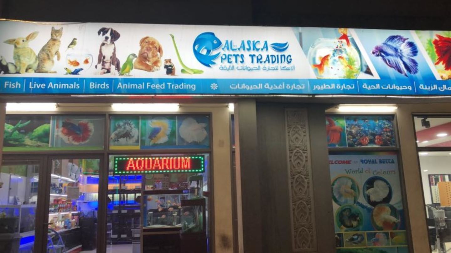 HiDubai-business-alaska-pets-trading-animals-pets-plants-pet-food-accessories-stores-international-city-warsan-1-dubai