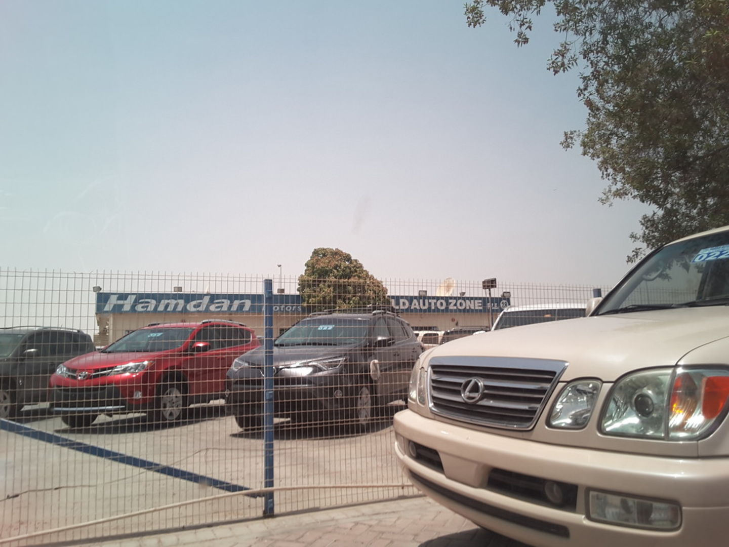 HiDubai-business-hamdan-motors-transport-vehicle-services-used-car-dealers-ras-al-khor-industrial-3-dubai-2