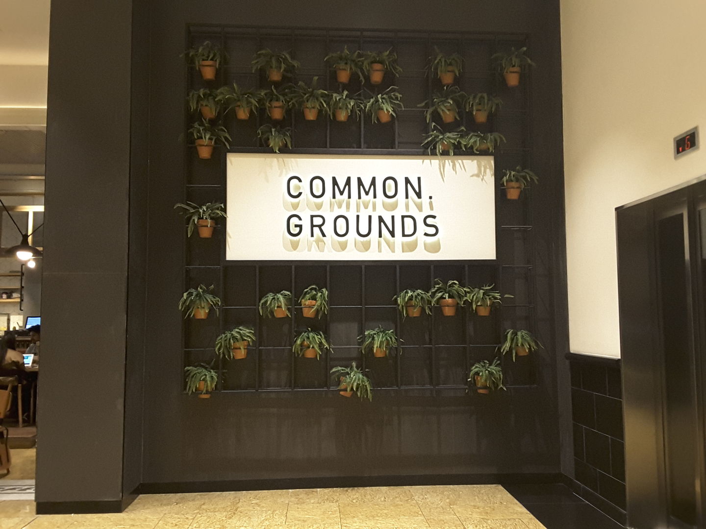 HiDubai-business-common-grounds-food-beverage-coffee-shops-al-barsha-1-dubai-2