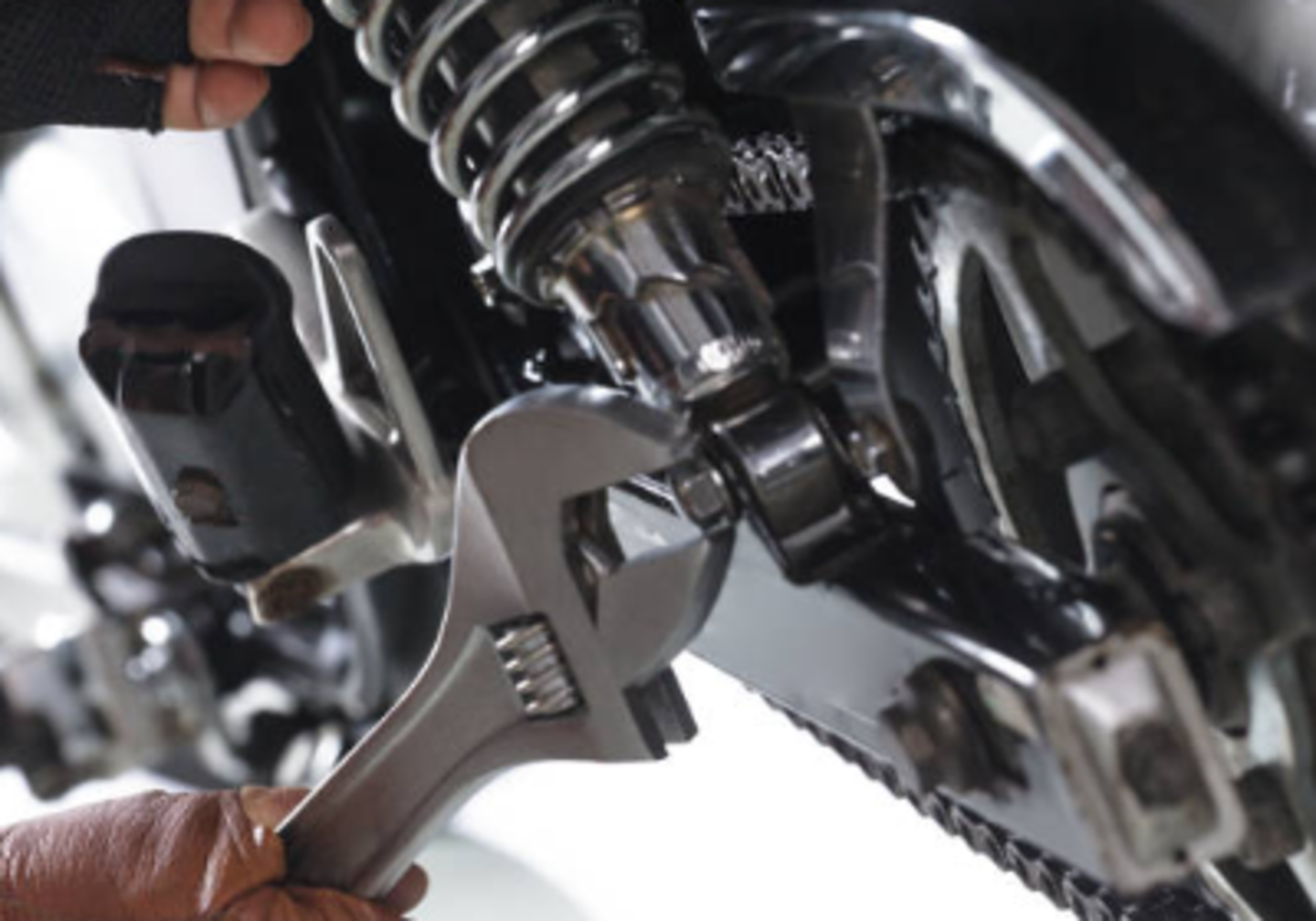 HiDubai-business-performance-plus-motors-transport-vehicle-services-auto-port-saeed-dubai