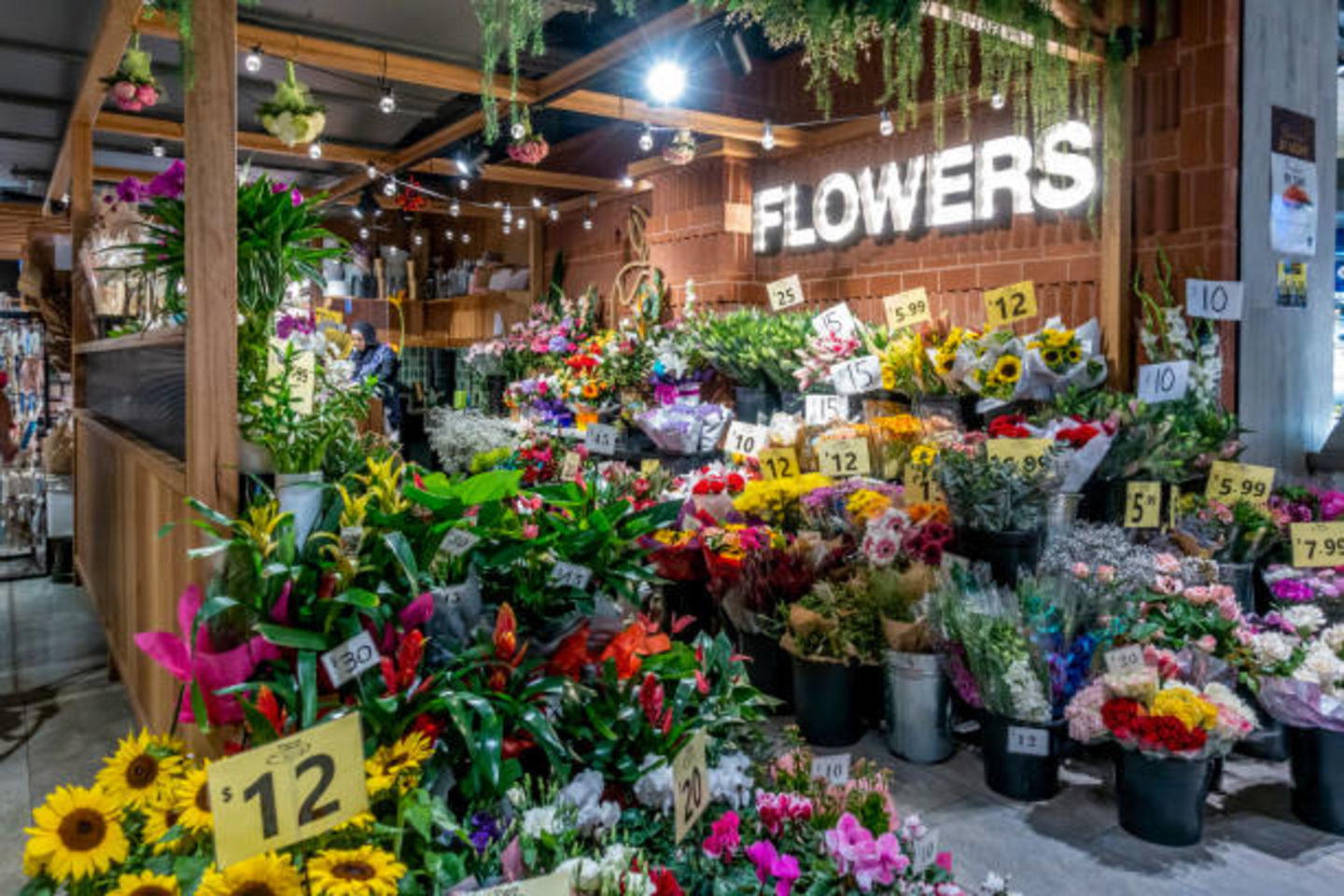 HiDubai-business-evergreen-flowers-plants-animals-pets-plants-plants-gardening-stores-al-qusais-1-dubai