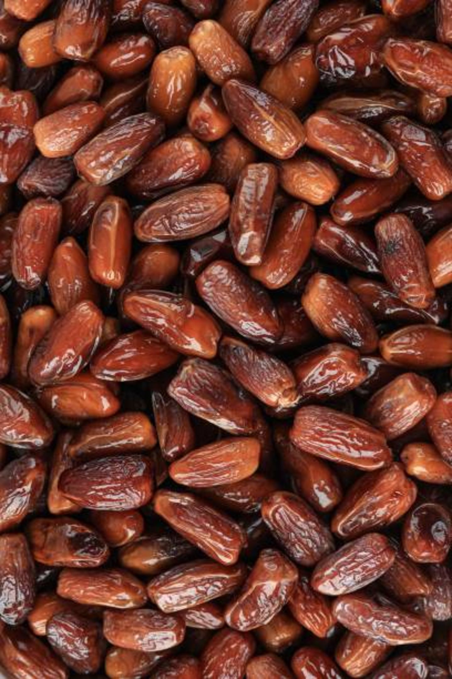 HiDubai-business-tamr-wa-qhwah-b2b-services-distributors-wholesalers-dubai-festival-city-al-kheeran-1-dubai