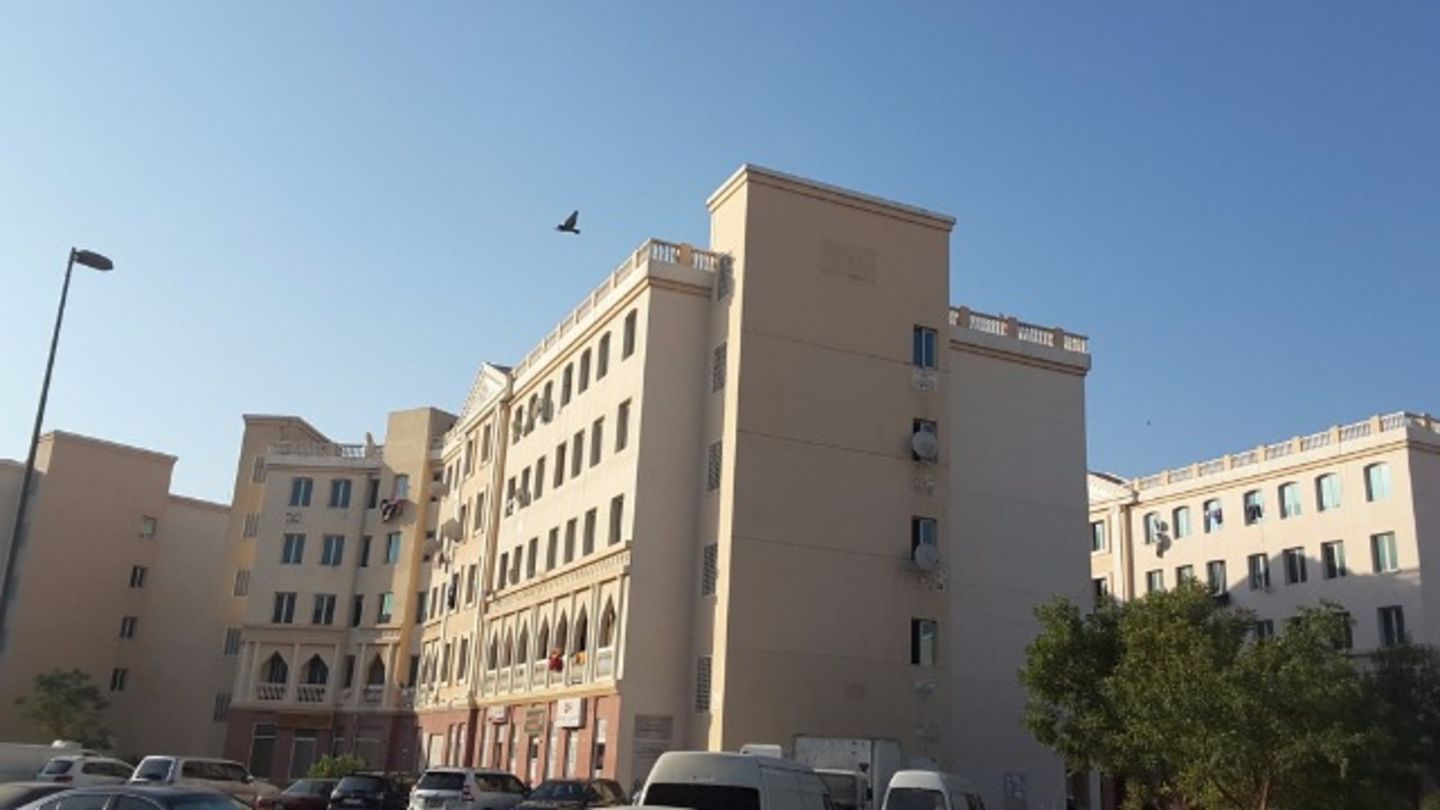 HiDubai-business-mastrogen-pest-control-home-pest-control-disinfection-services-international-city-warsan-1-dubai-2