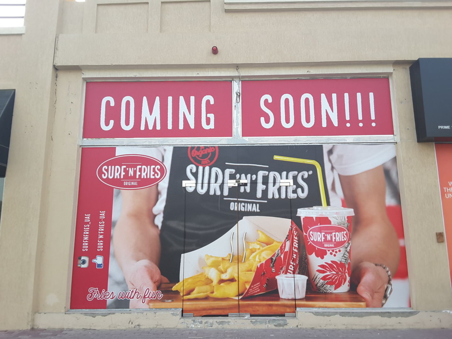 HiDubai-business-surf-n-fries-food-beverage-restaurants-bars-umm-suqeim-2-dubai-2