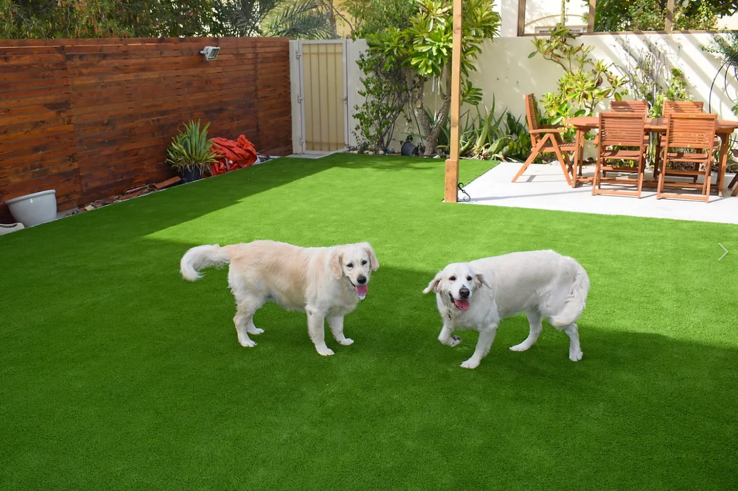 HiDubai-business-mazegrass-home-gardening-landscaping-al-quoz-industrial-4-dubai