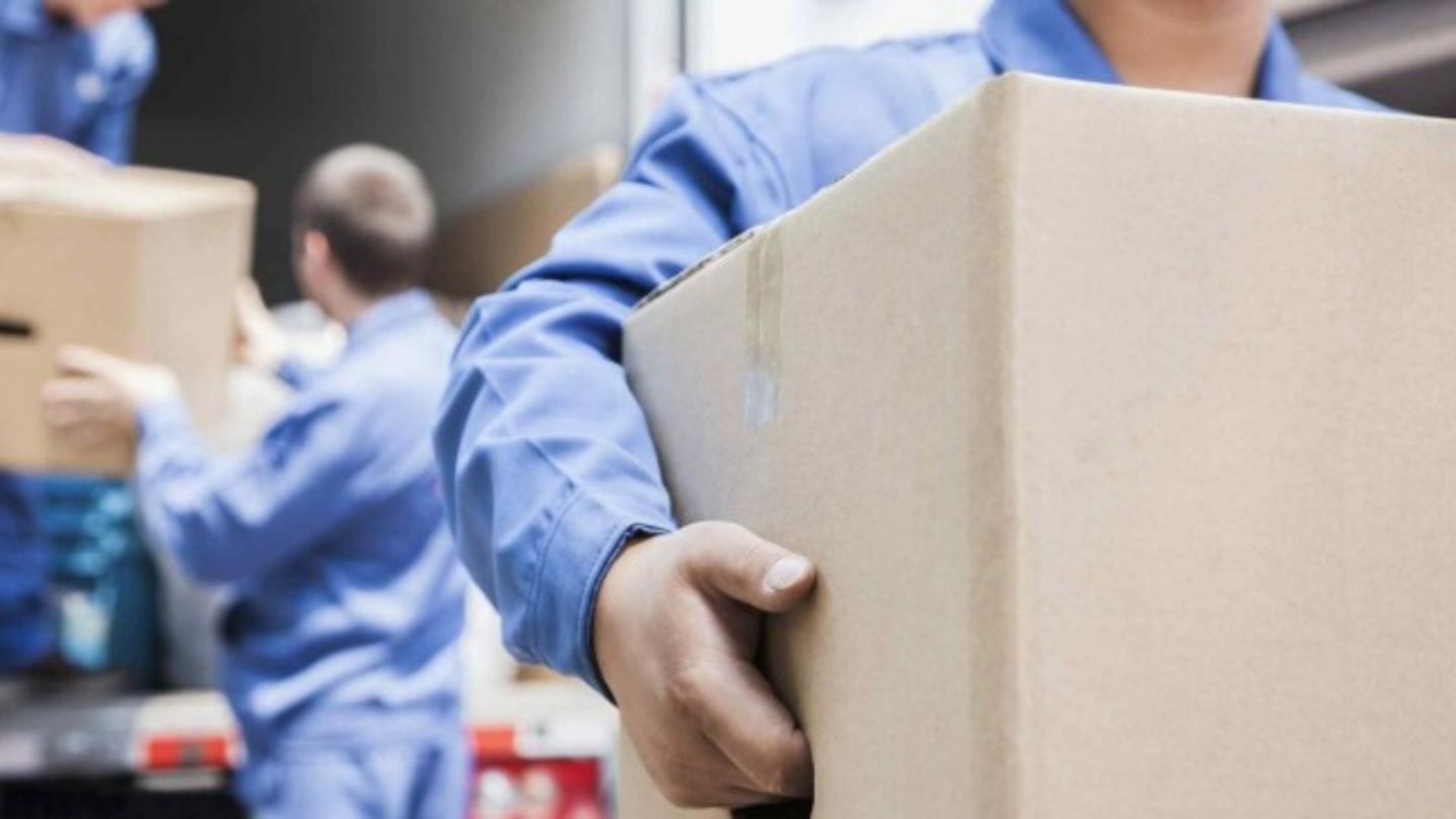 HiDubai-business-goodlife-movers-shipping-logistics-moving-storage-services-al-muteena-dubai