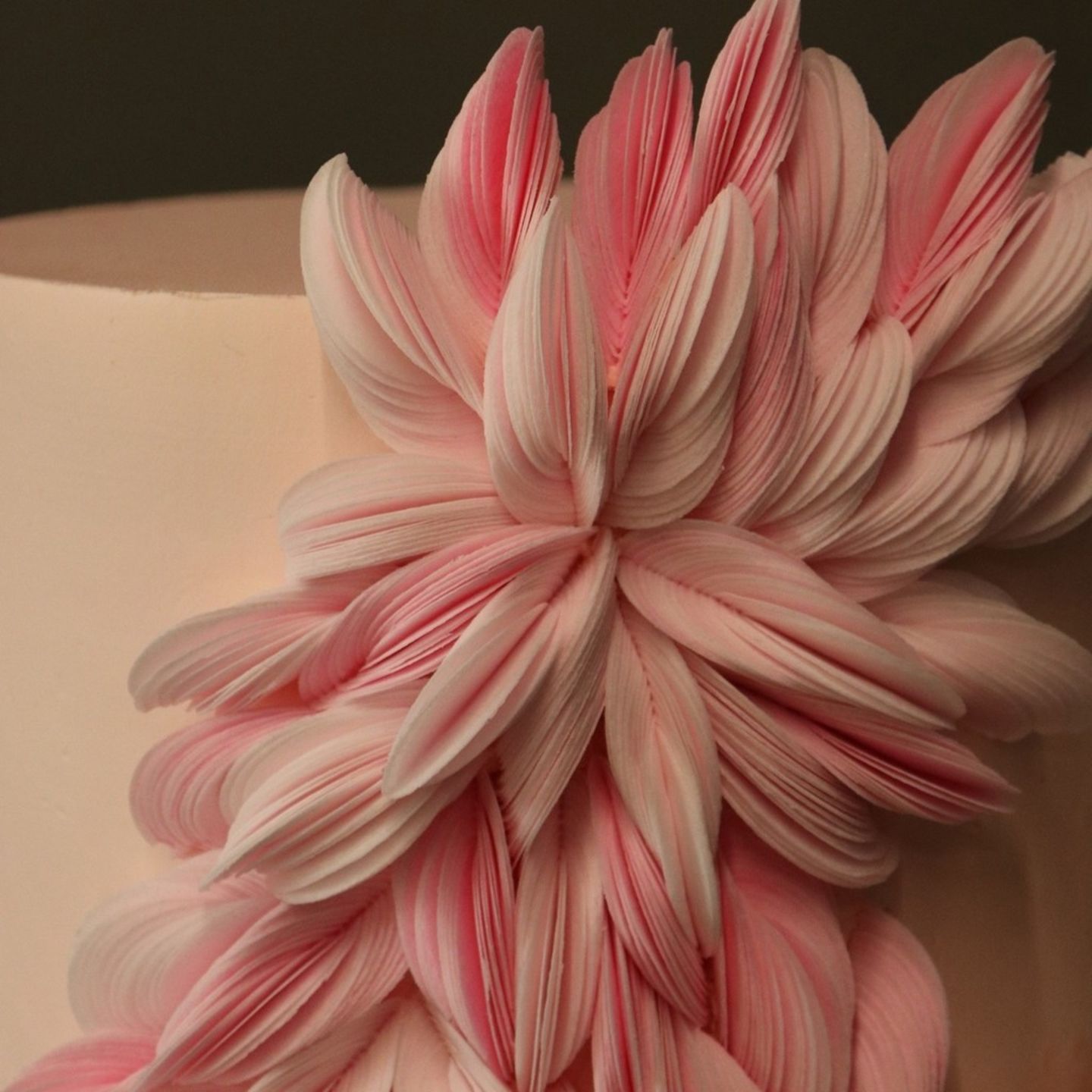 HiDubai-business-rise-bakehouse-food-beverage-bakeries-desserts-sweets-al-quoz-industrial-1-dubai