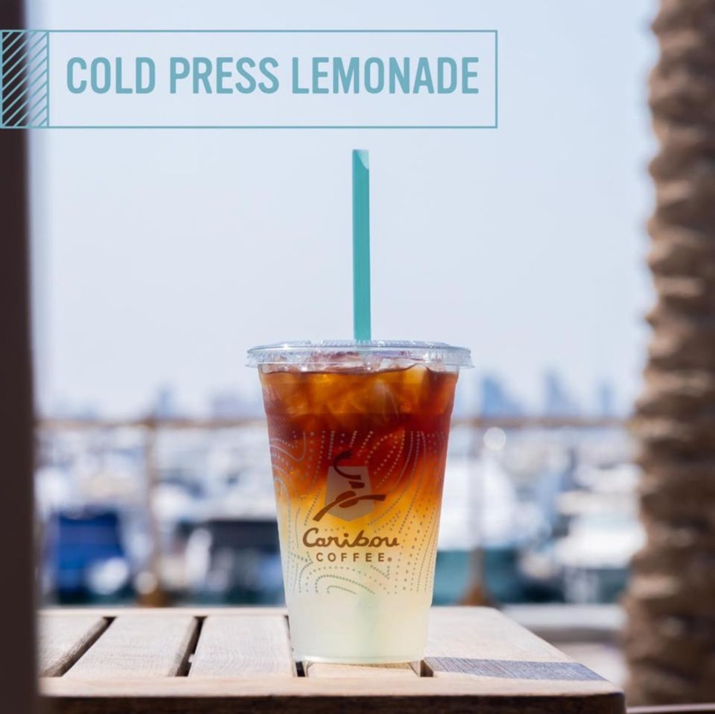 Caribou Coffee, (Coffee Shops) in 