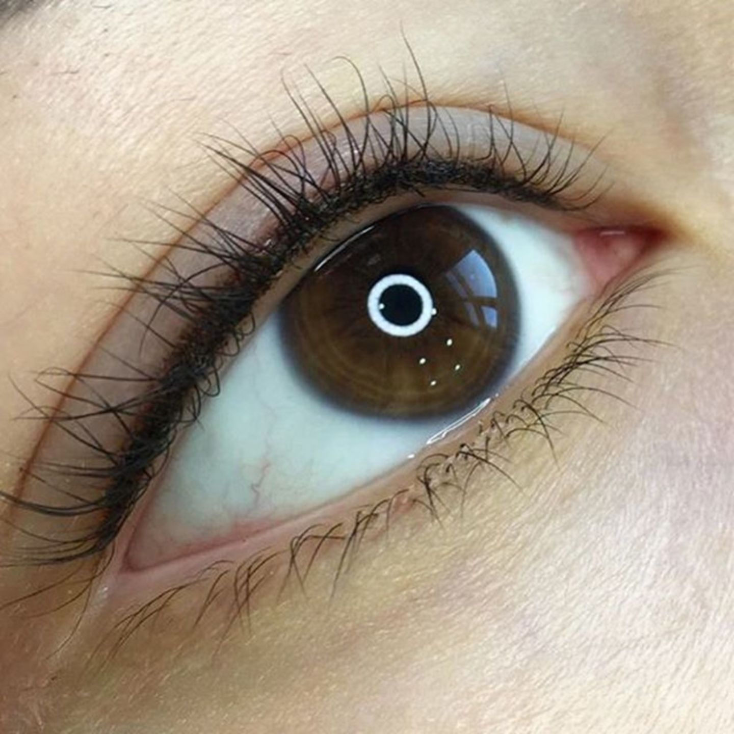 HiDubai-business-brow-and-beauty-salon-beauty-wellness-health-beauty-salons-umm-al-sheif-dubai