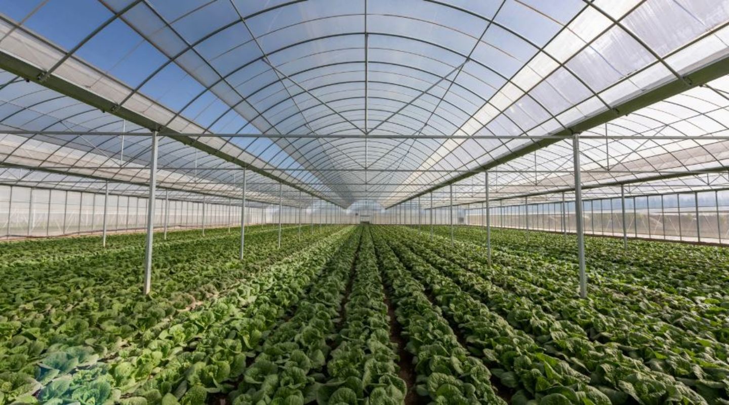 HiDubai-business-mirak-agricultural-services-construction-heavy-industries-environmental-agricultural-companies-trade-centre-1-dubai