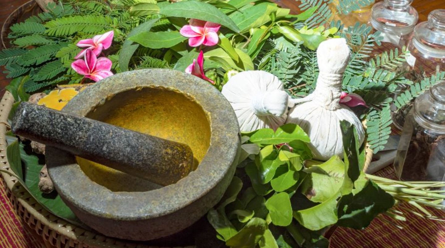 HiDubai-business-kottakkal-ayurvedic-medicals-beauty-wellness-health-homeopathy-alternative-medicine-al-qusais-industrial-5-dubai