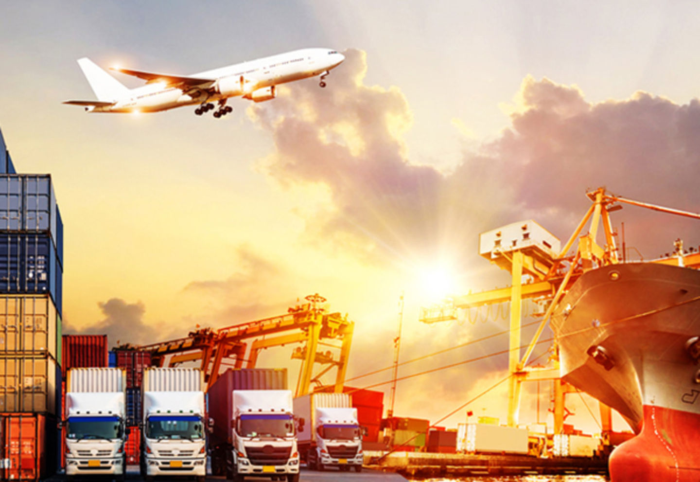 HiDubai-business-swarovski-shipping-services-shipping-logistics-shipping-meena-bazar-al-souq-al-kabeer-dubai