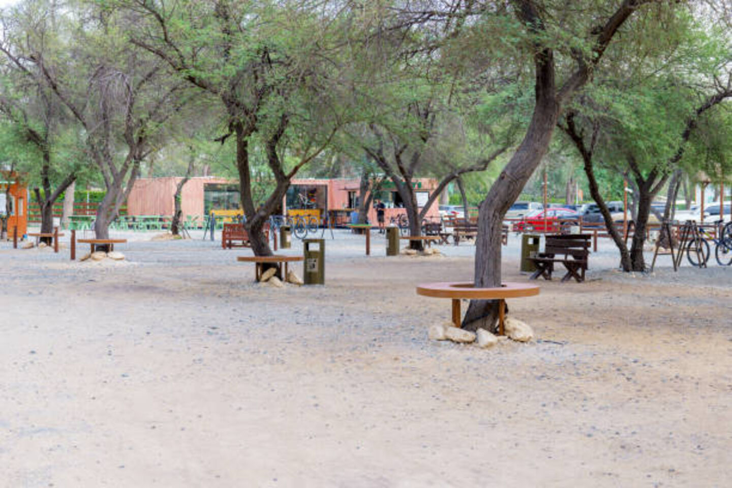 HiDubai-business-mushrif-park-leisure-culture-parks-beaches-mushrif-dubai-2