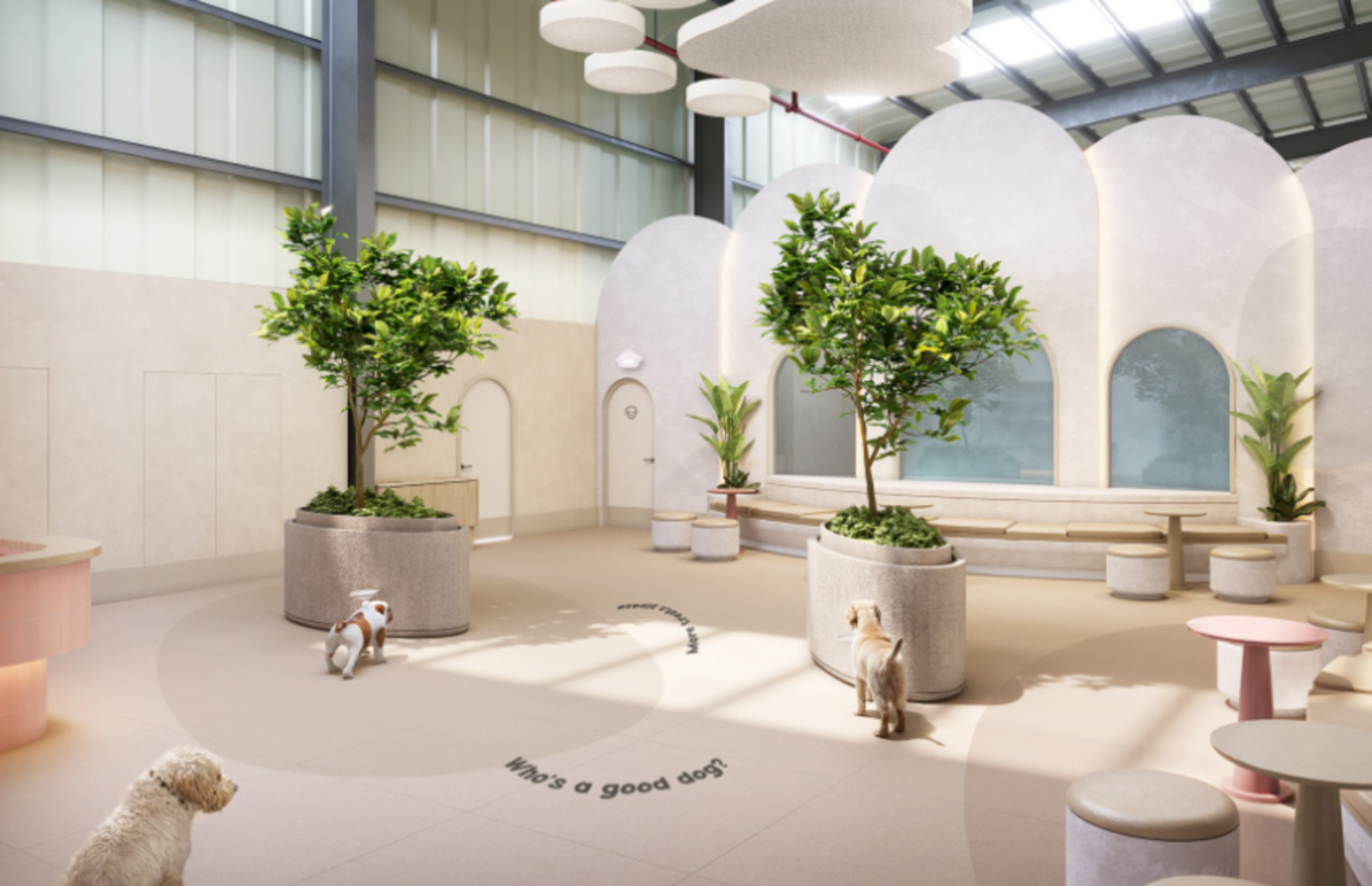 HiDubai-business-my-dogtel-animals-pets-plants-pet-hotels-day-care-dubai-investment-park-1-dubai