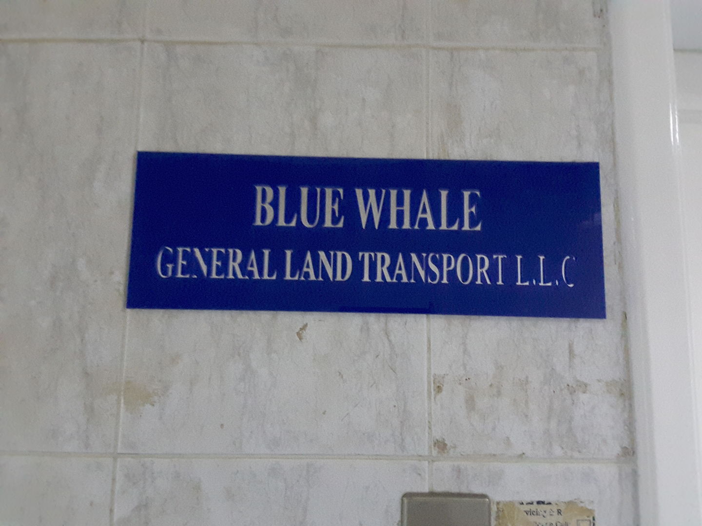 HiDubai-business-blue-whale-general-land-transport-transport-vehicle-services-private-transport-al-qusais-2-dubai-2