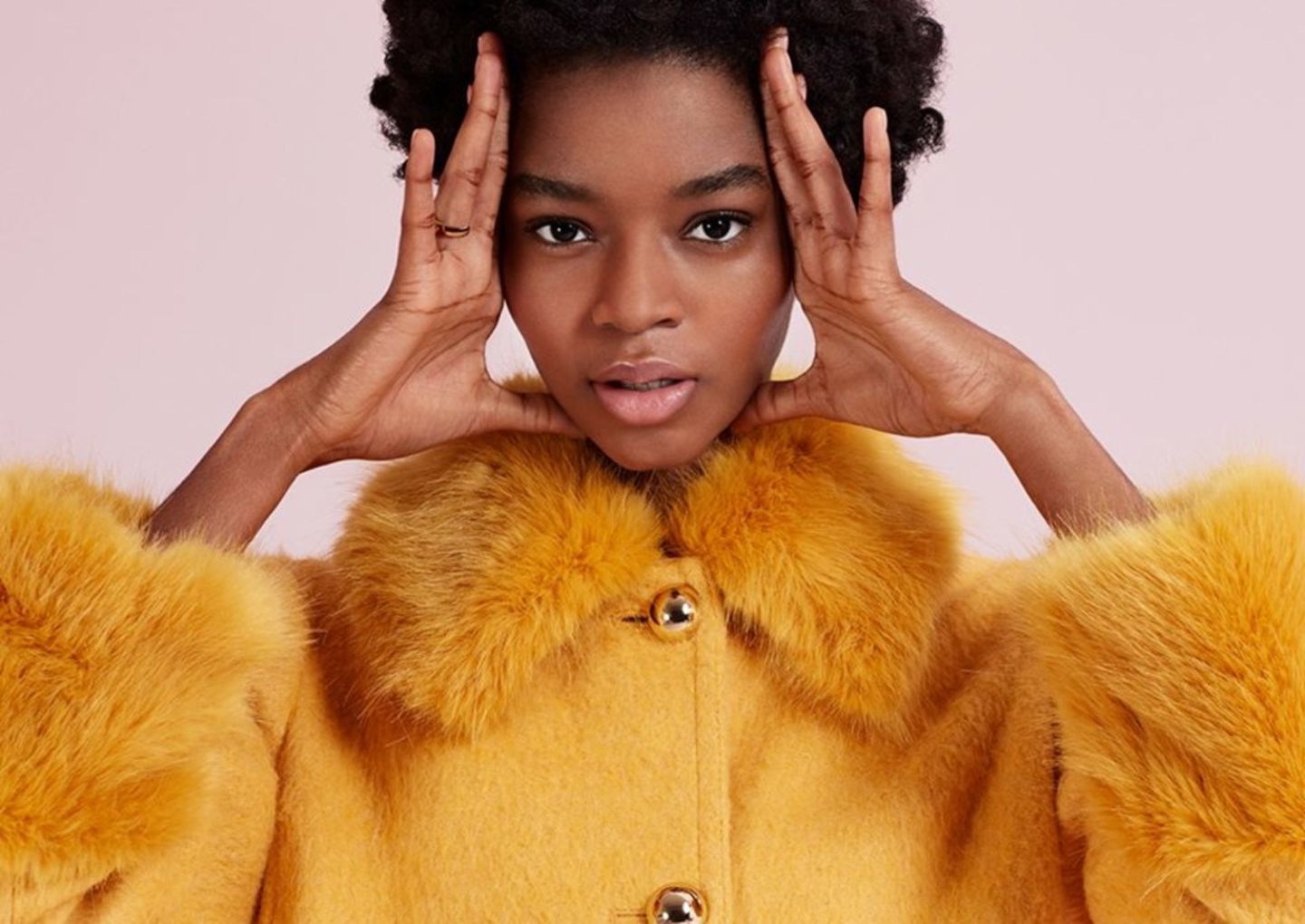 HiDubai-business-kate-spade-transport-vehicle-services-car-showrooms-service-centres-saih-shuaib-1-dubai