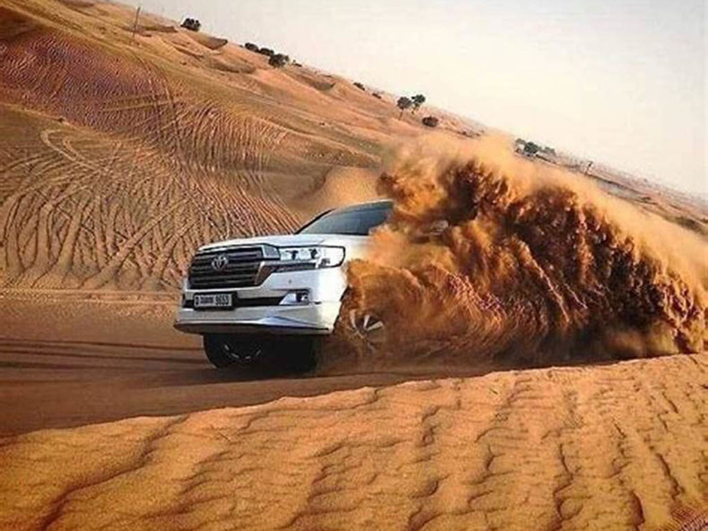 HiDubai-business-al-oud-tourism-hotels-tourism-travel-ticketing-agencies-al-muteena-dubai