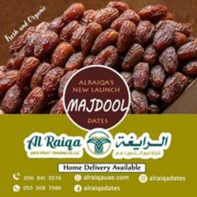 HiDubai-business--gallery-1