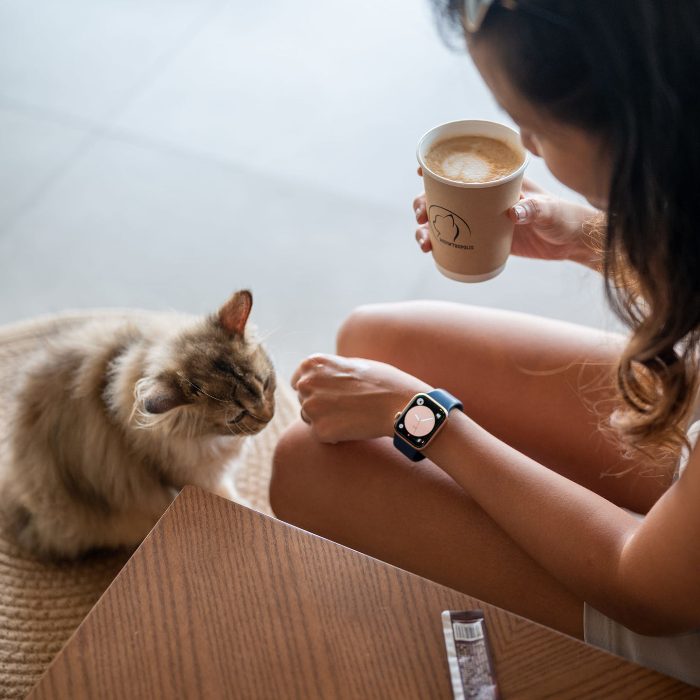 HiDubai-business-meowtropolis-food-beverage-coffee-shops-jumeirah-lake-towers-al-thanyah-5-dubai