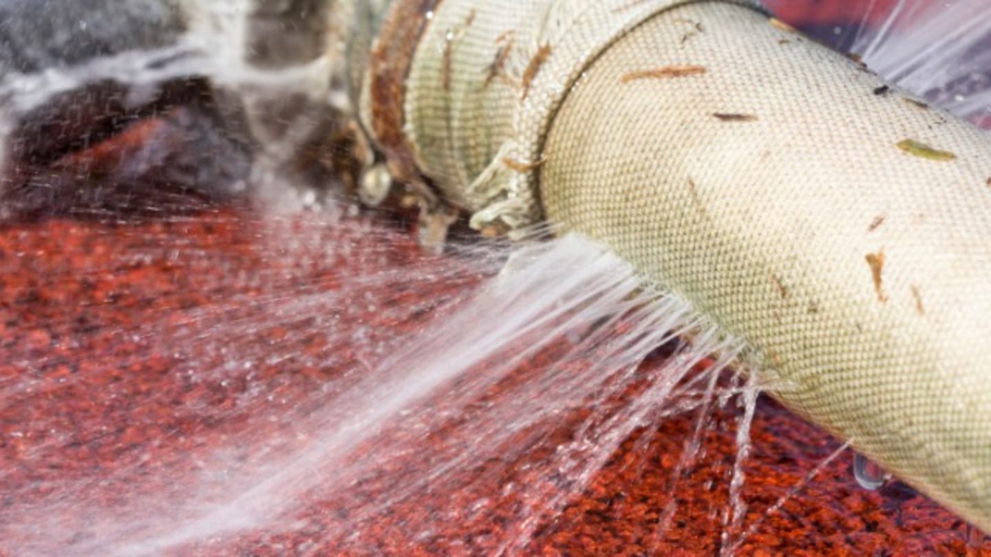 HiDubai-business-gardens-flower-hardware-trading-construction-heavy-industries-heavy-equipment-machinery-naif-dubai