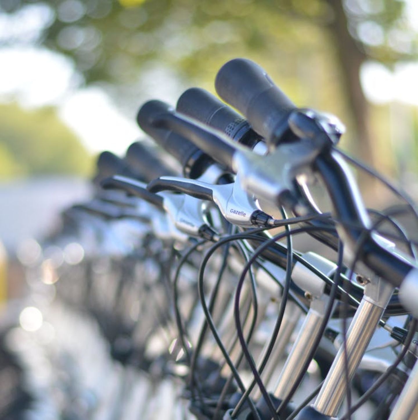 HiDubai-business-byky-station-al-ittihad-park-palm-transport-vehicle-services-bicycles-rentals-the-palm-jumeirah-nakhlat-jumeirah-dubai
