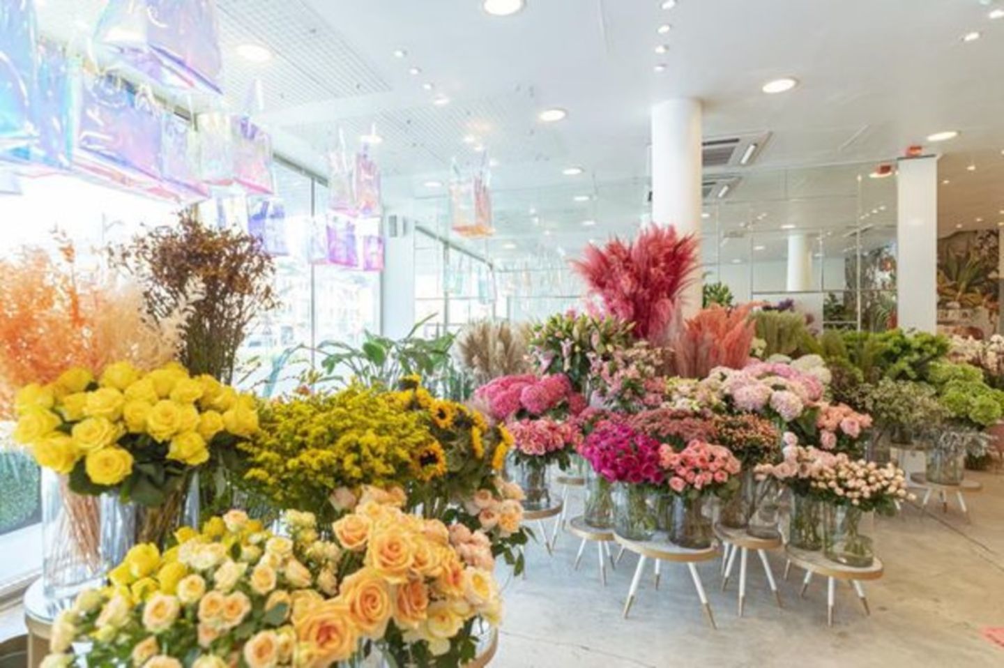 HiDubai-business-bliss-beach-road-flower-trading-animals-pets-plants-plants-gardening-stores-umm-suqeim-2-dubai