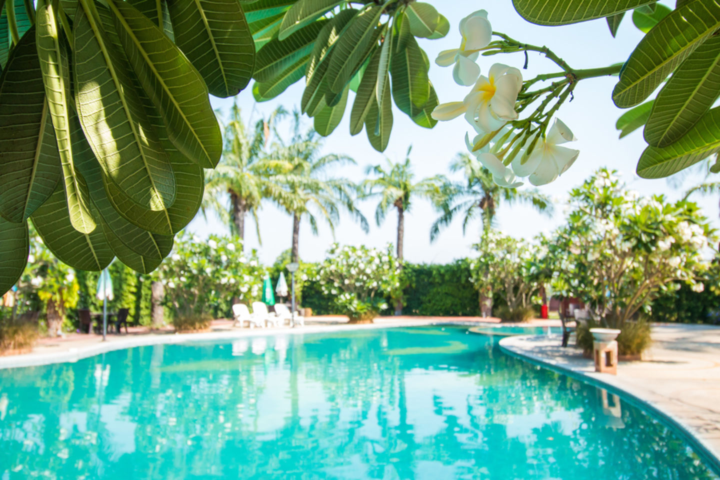 HiDubai-business-pullman-jumeirah-lakes-towers-hotel-hotels-tourism-hotels-resorts-jumeirah-lake-towers-al-thanyah-5-dubai-2