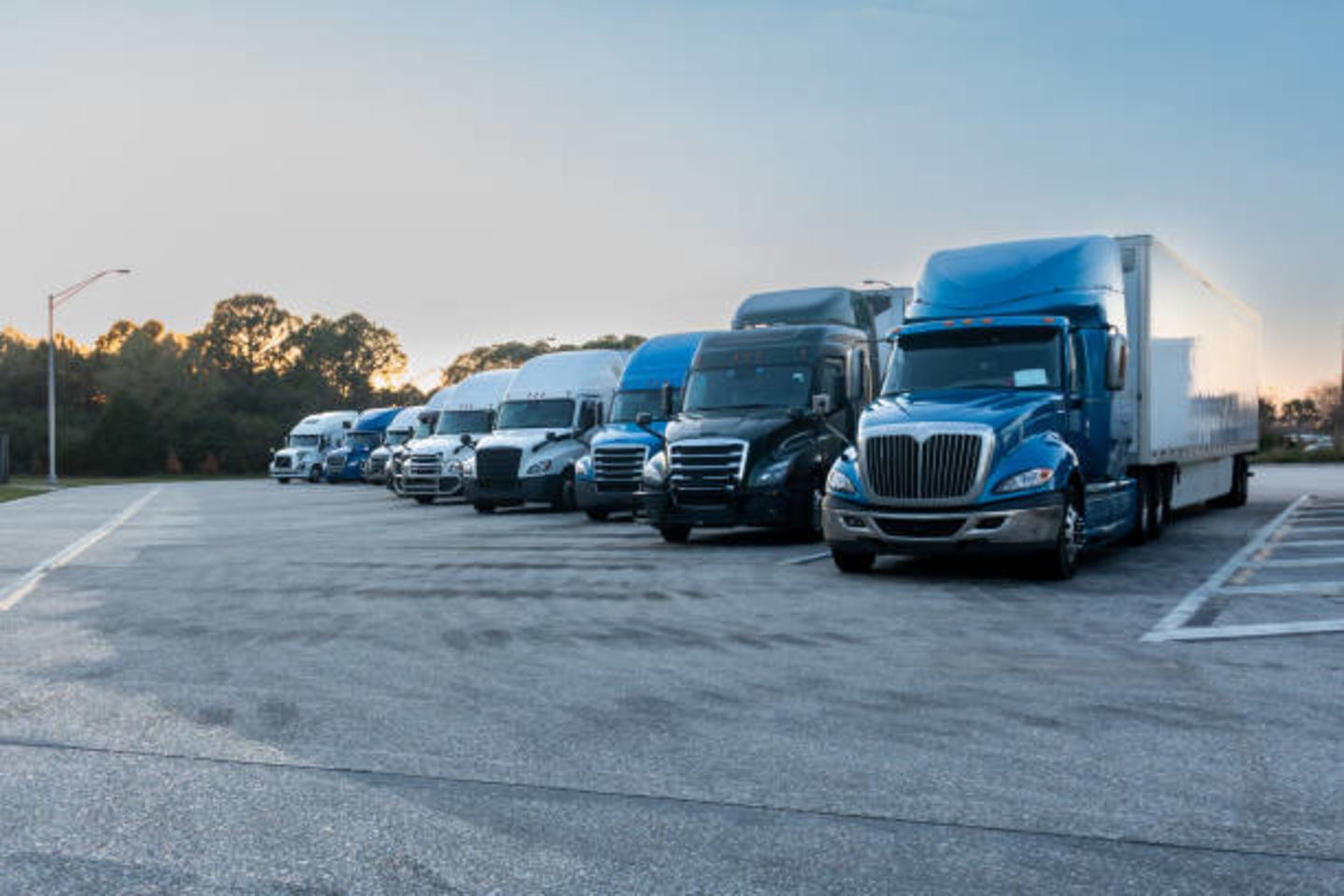 HiDubai-business-royal-drive-fleet-management-transport-vehicle-services-car-rental-services-al-qusais-2-dubai