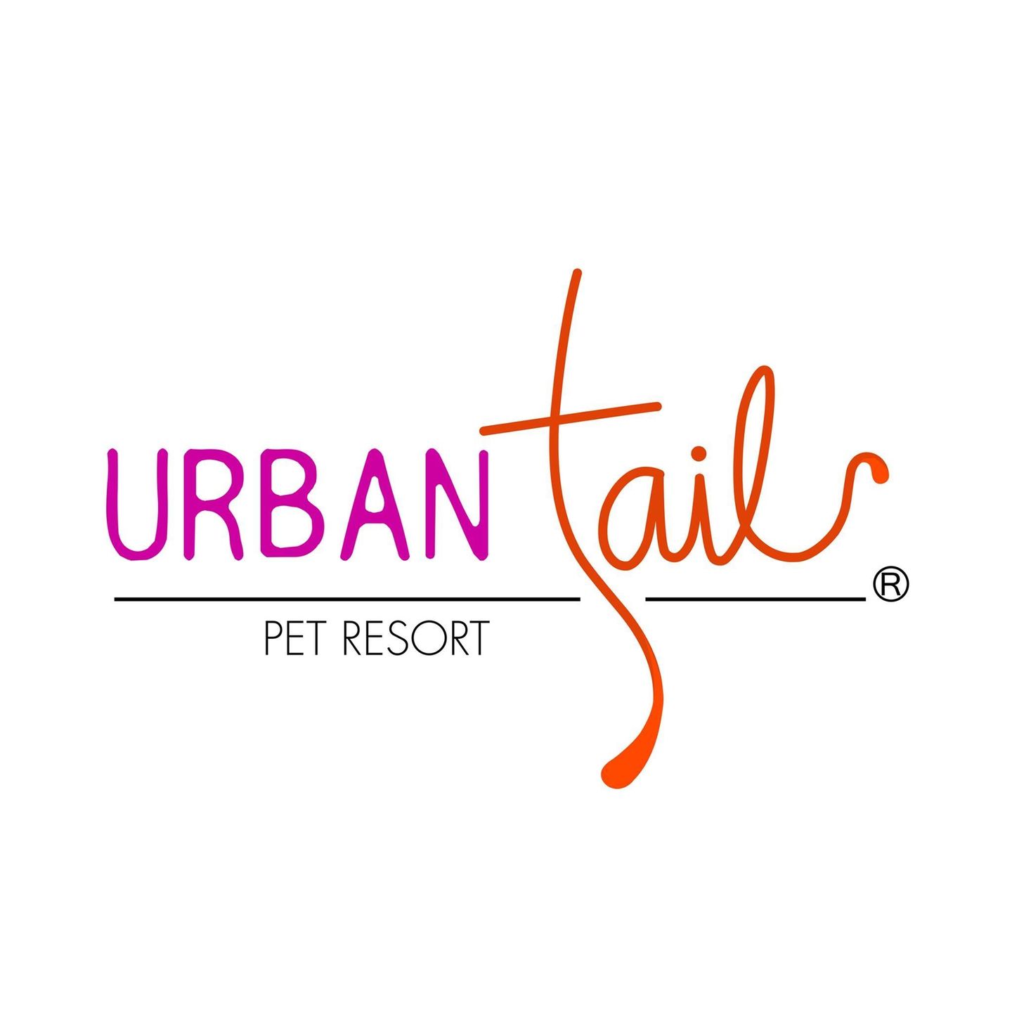 HiDubai-business-urban-tails-pet-resort-animals-pets-plants-pet-grooming-centres-dubai-investment-park-2-dubai-2