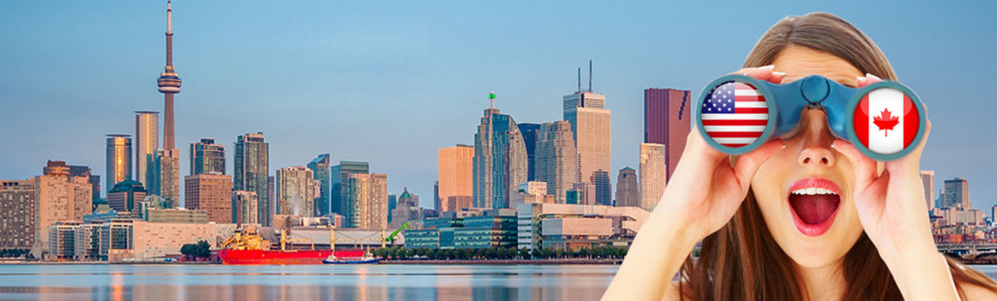 HiDubai-business-elite-falcon-management-consultants-b2b-services-business-consultation-services-port-saeed-dubai