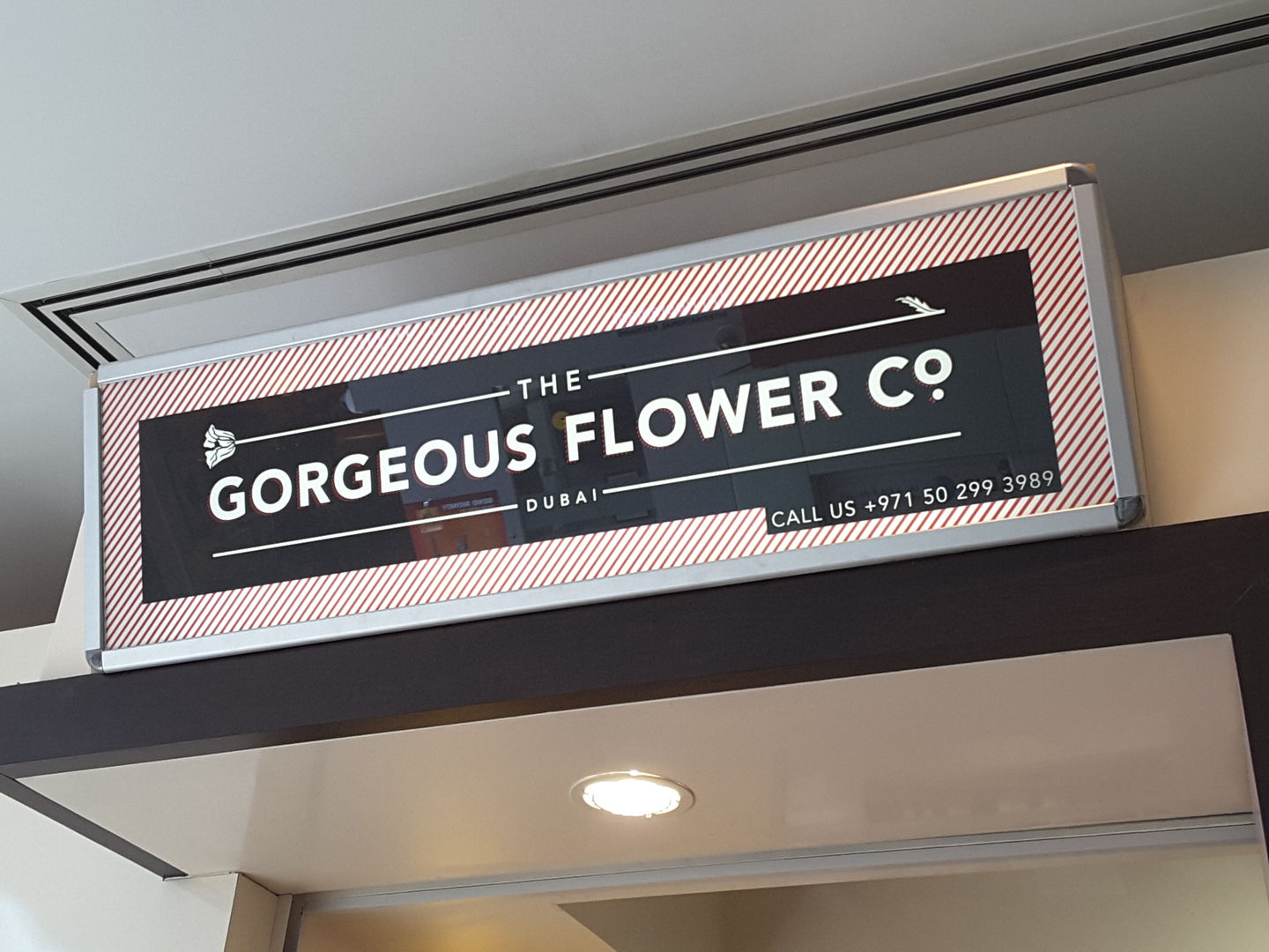 HiDubai-business-the-gorgeous-flower-co-animals-pets-plants-plants-gardening-stores-springs-al-thanyah-4-dubai-2