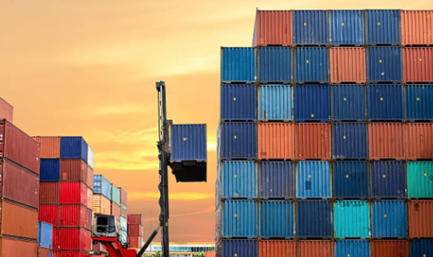 HiDubai-business-nabth-al-najm-cargo-services-shipping-logistics-shipping-port-saeed-dubai