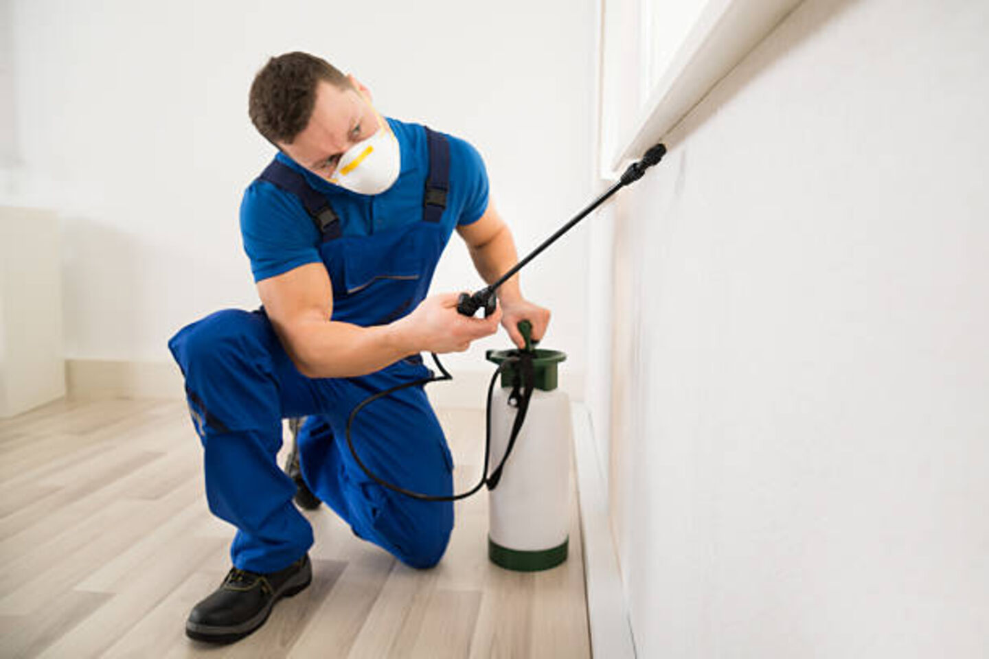 HiDubai-business-rentokil-boecker-home-pest-control-disinfection-services-barsha-heights-tecom-dubai-1