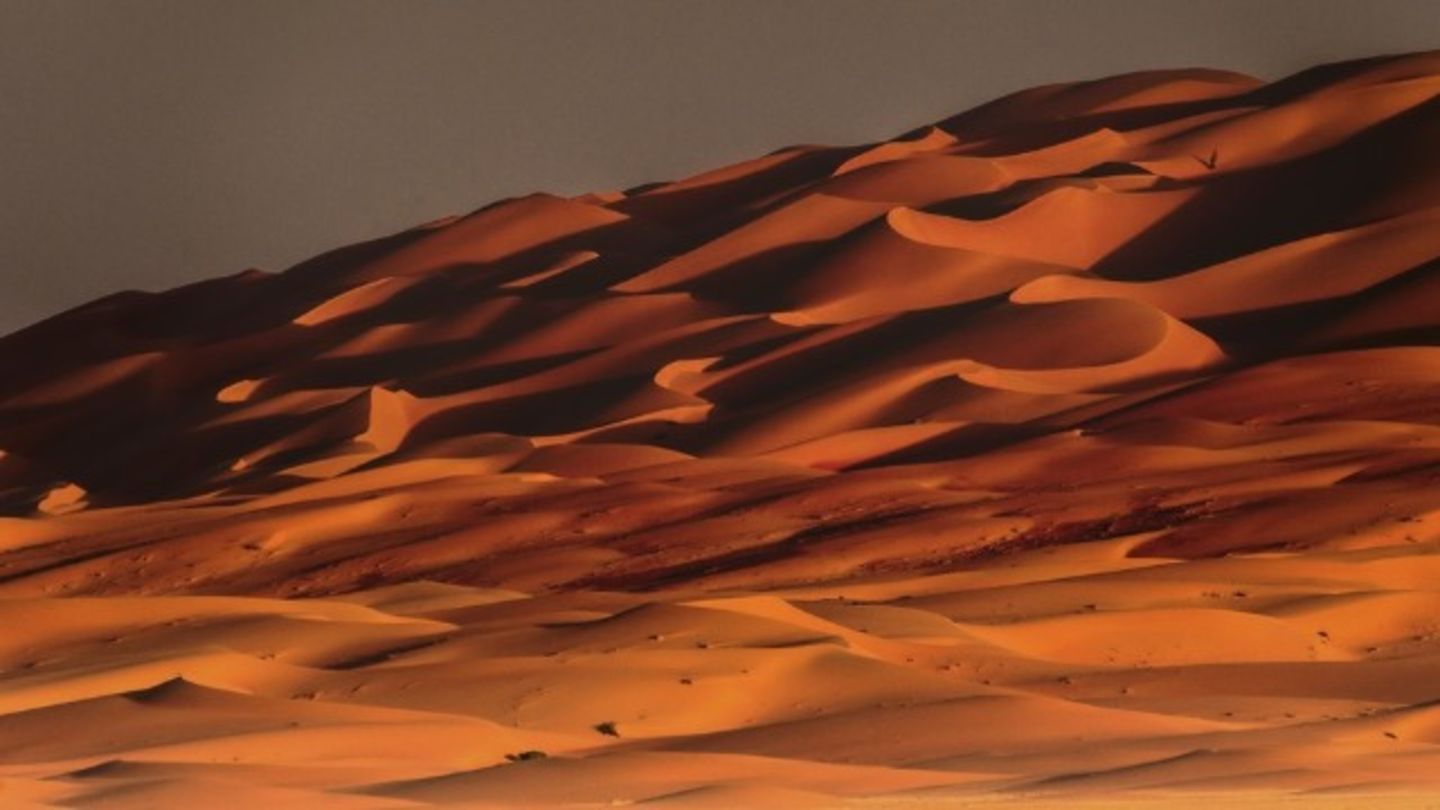 HiDubai-business-capture-commercial-brokers-vocational-services-art-photography-services-port-saeed-dubai