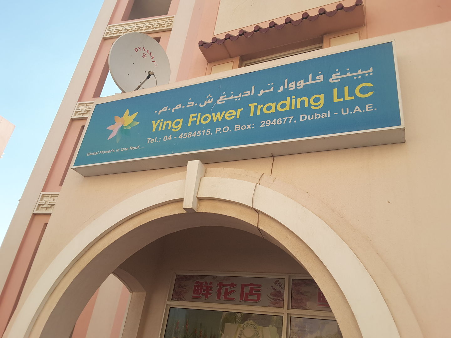HiDubai-business-ying-flower-trading-b2b-services-distributors-wholesalers-international-city-warsan-1-dubai-2