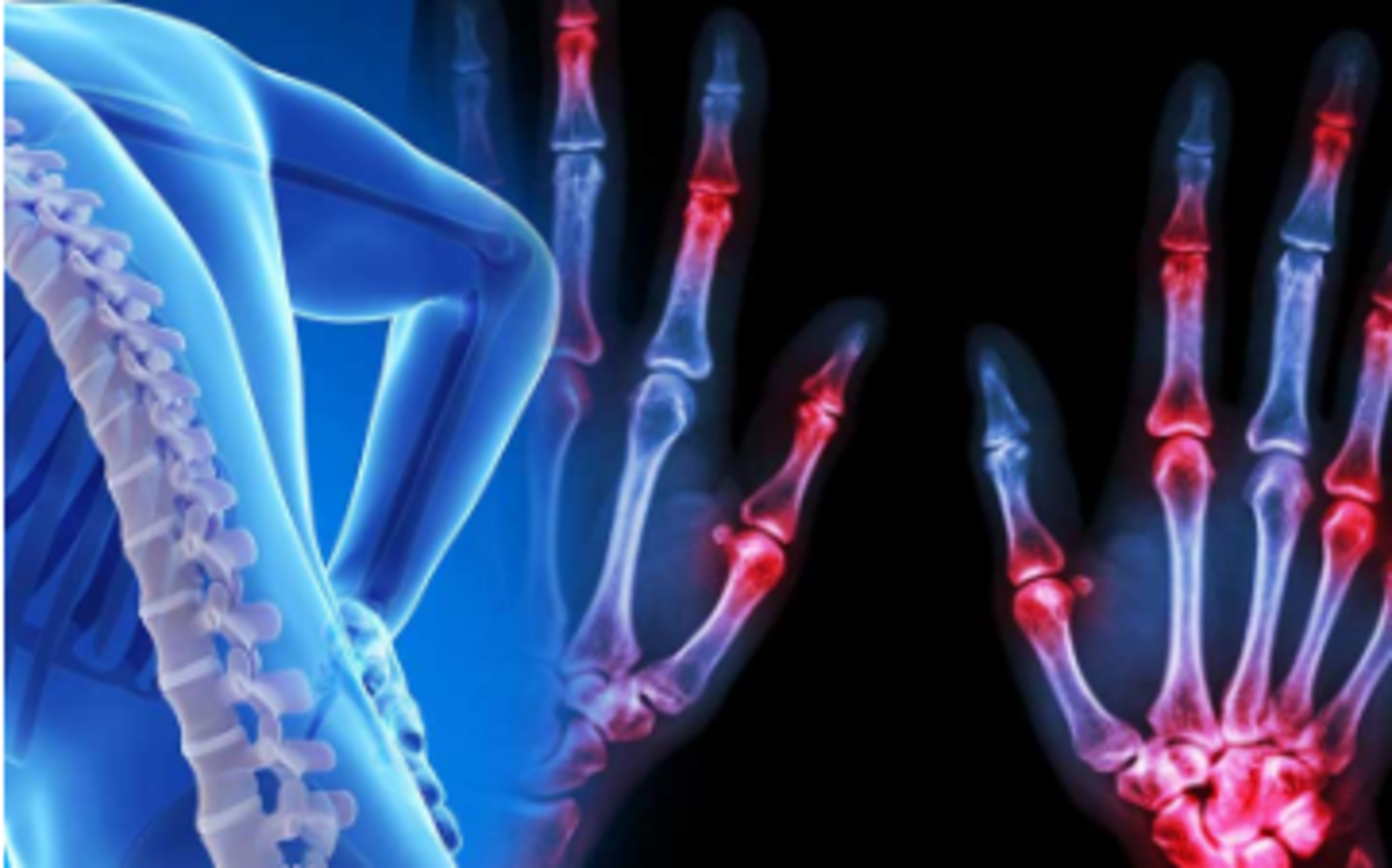 HiDubai-business-actionmed-medical-equipment-b2b-services-distributors-wholesalers-al-mamzar-dubai-2